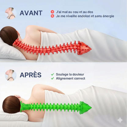 L'Oreiller ErgoNuit™ – Sommeil Orthopédique & Alignement Cervical